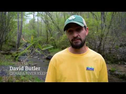 Cahaba River Cleanup