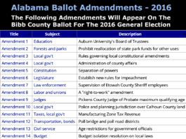 Over View of the 14 Constitutional Amendments on Bibb County November Ballot