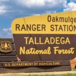 Hobson-20180827-ForestrySign