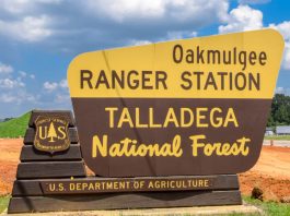 Protecting The U.S. Forest in Bibb County From Raging Wildfire