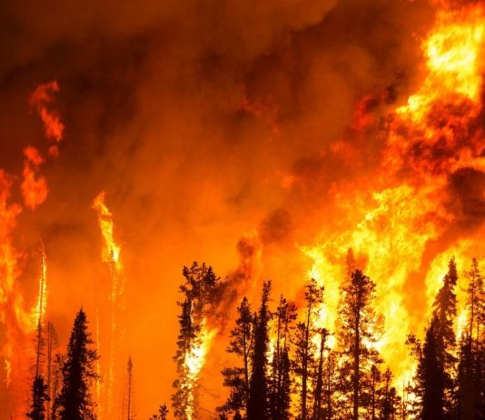 Fire Danger Advisory Rescinded for 21 Counties