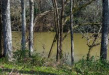 The Flood: During and After