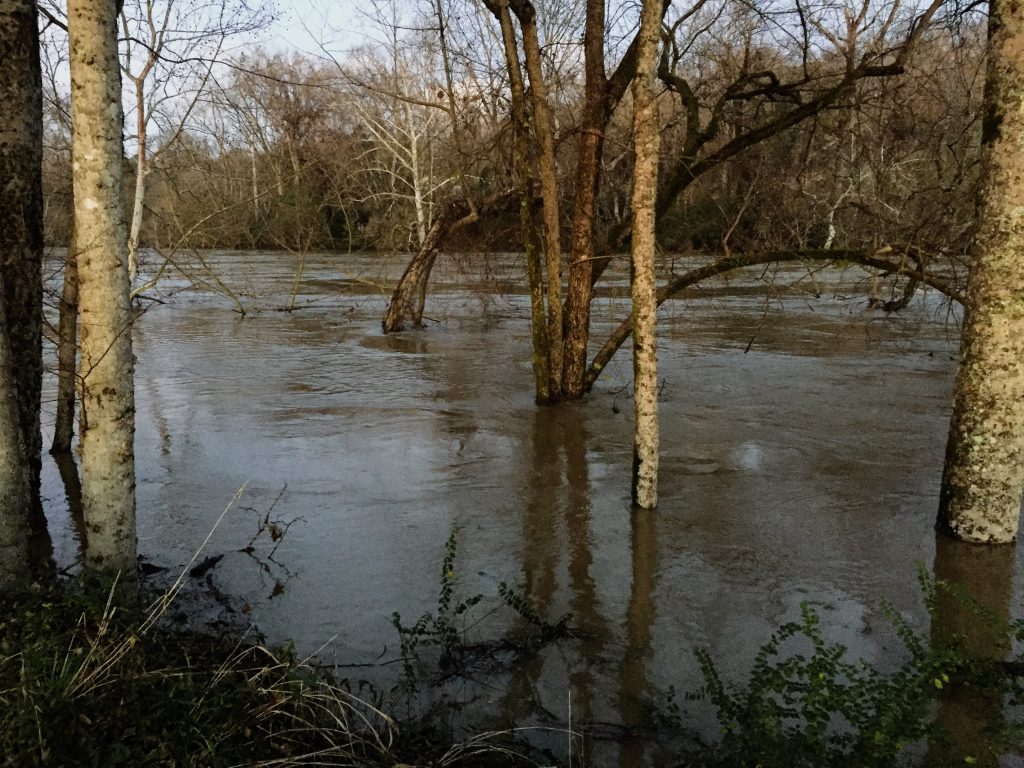 The Cahaba during the peak of the flood, just before sunset on December 28, 2018.