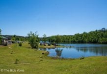 8 Things for Families to Do in Bibb County (While Staying Away From Other People)