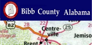 Vehicle Accident Claims Life of a Bibb County Teenager