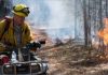Forestry Commission Posts Wild Fire Cautions