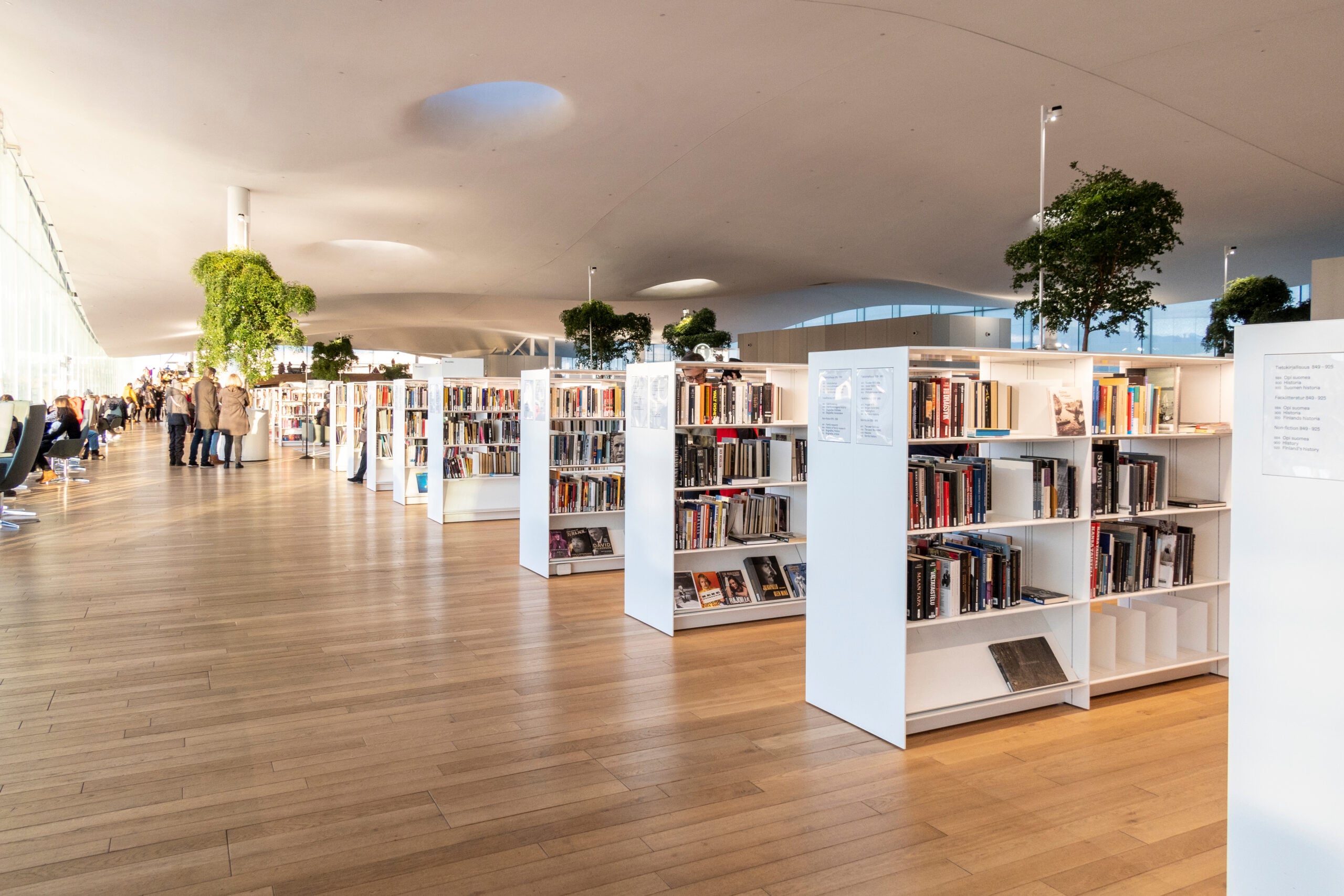 Eagle Forum of Alabama sues Tuscaloosa Public Library Board for violations of First, 14th Amendments