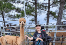 How One Organ Transplant led to the creation of a Nonprofit Organization